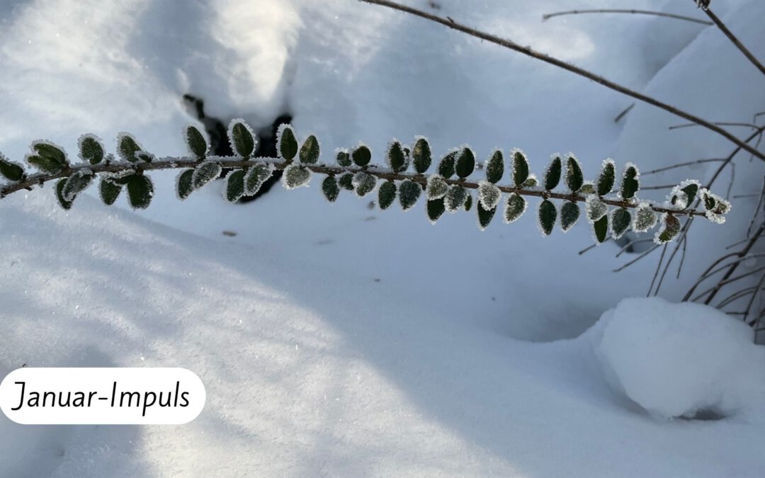 Januar Impuls