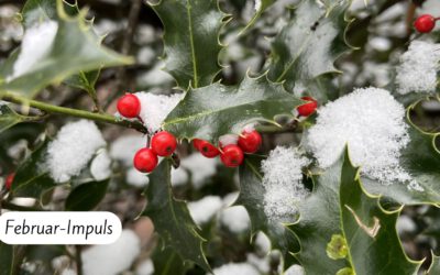 Februar Impuls